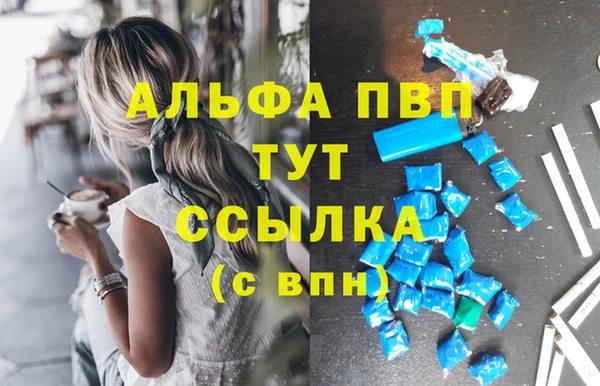 ГАЛЛЮЦИНОГЕННЫЕ ГРИБЫ Беломорск