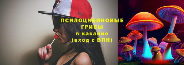 спиды Богородск