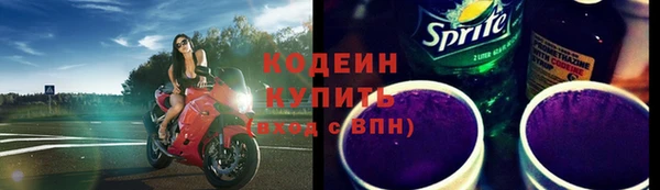дживик Богородицк
