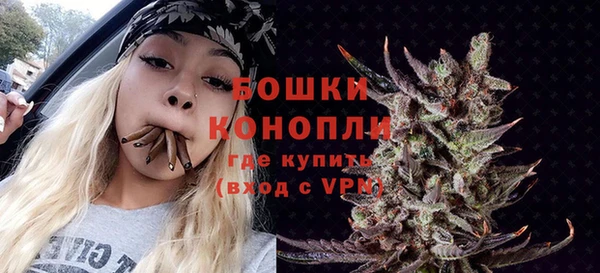 дживик Богородицк