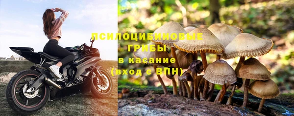 спиды Богородск