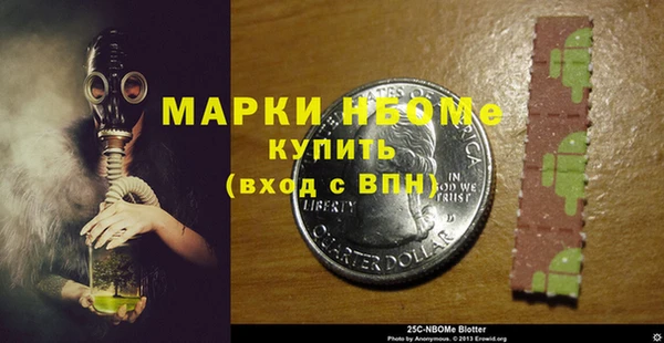 дживик Богородицк