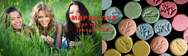 ГАЛЛЮЦИНОГЕННЫЕ ГРИБЫ Беломорск