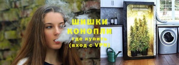 спиды Богородск
