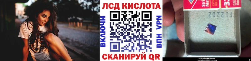 MEGA как войти  Светогорск  Марки 25I-NBOMe 1500мкг 