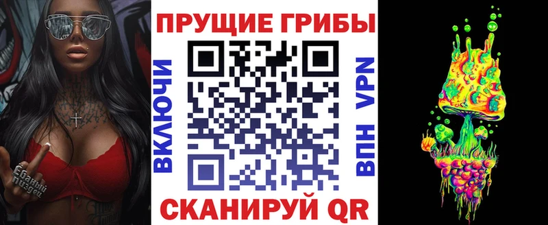 Псилоцибиновые грибы Cubensis где купить наркотик omg онион Светогорск